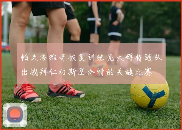 帕夫洛维奇恢复训练无大碍将随队出战拜仁对斯图加特的关键比赛