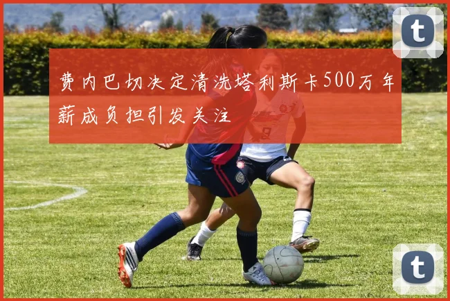 费内巴切决定清洗塔利斯卡500万年薪成负担引发关注