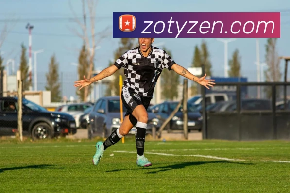 中欧体育平台生态图